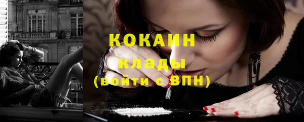 твердый Михайловск