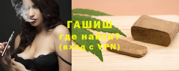 шишки Медвежьегорск