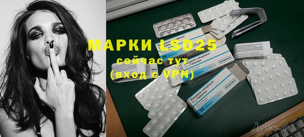шишки Медвежьегорск