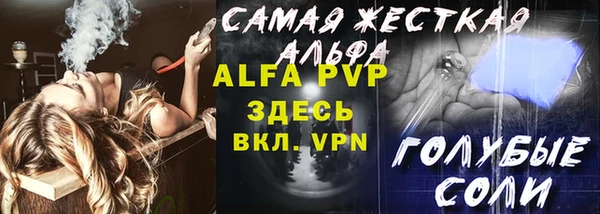 шишки Медвежьегорск